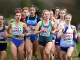 Belgian Athletics tevreden met EK veldlopen: "Doelstellingen bijna allemaal gehaald"